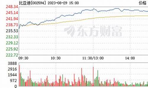 比亚迪股票600609_比亚迪股票600791股价