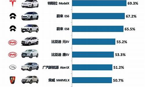 新能源汽车排名及价格糯玉米_新能源车型排行