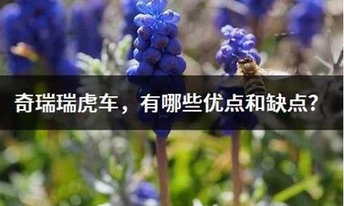 奇瑞车的优点和缺点是什么_奇瑞车的优点和缺点